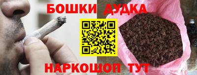 шишки Дубна