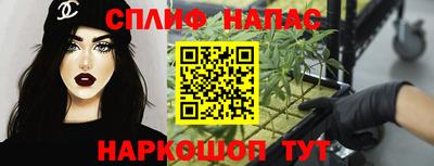 шишки Дубна