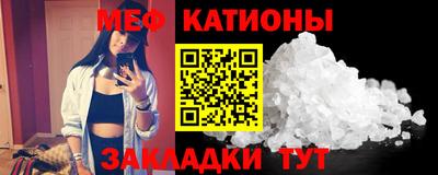 шишки Дубна